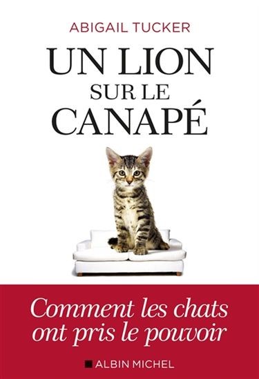 Un lion sur le canapé : comment les chats ont pris le pouvoir
